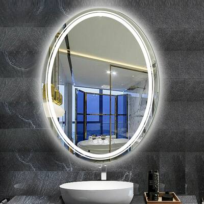 Oval Frameless Wall Mounted LED Bathroom Mirror Anti-Fog Dimmable