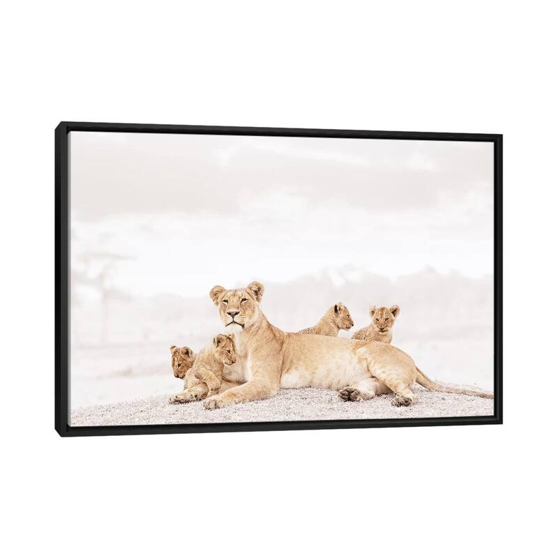 iCanvas "White Lioness & Cubs" by Klaus Tiedge Framed Canvas Print - Black - 26x40