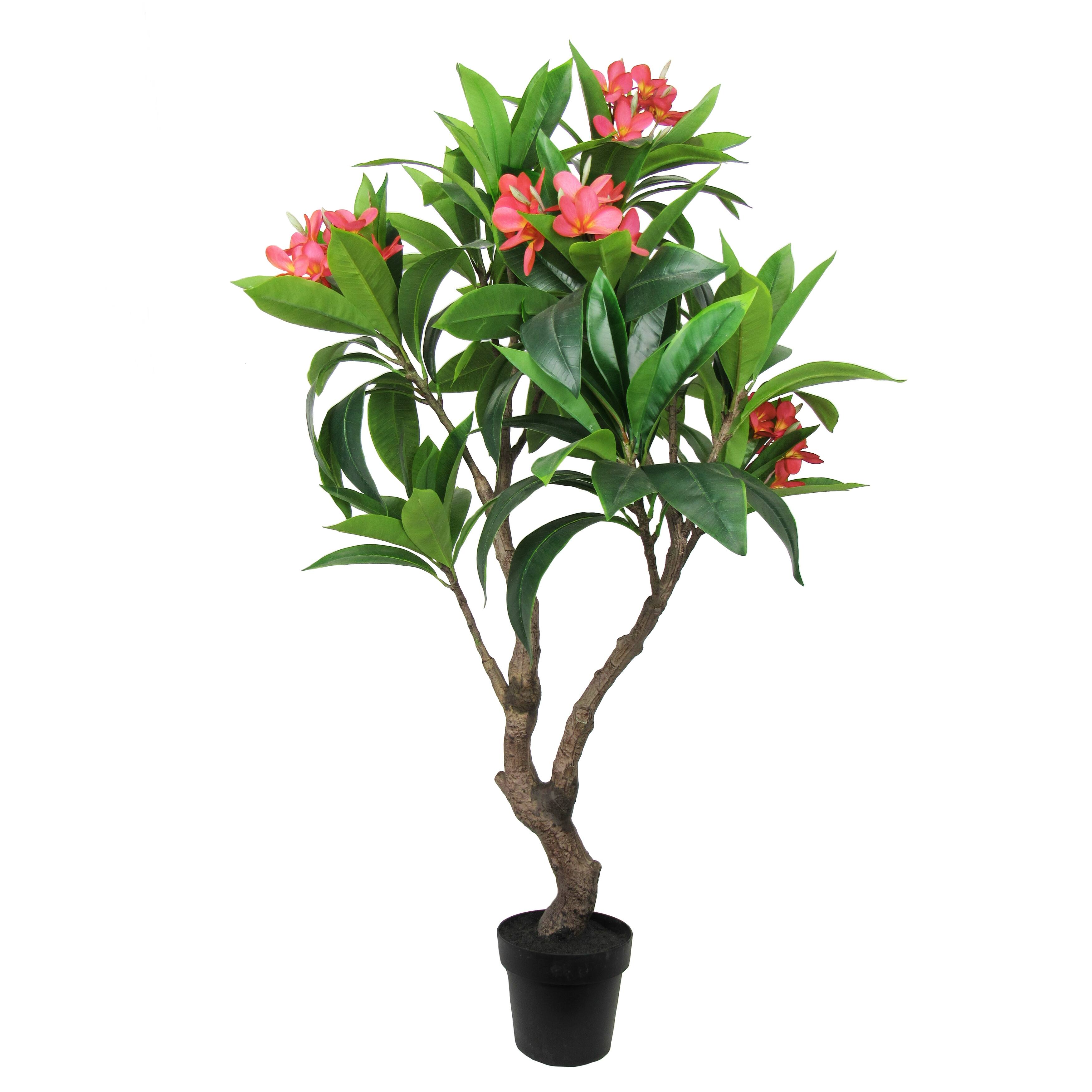 4.75ft Fuchsia Artificial Plumeria Flower Tree Tropical Plant in Black Pot 57" H x 35" W x 32