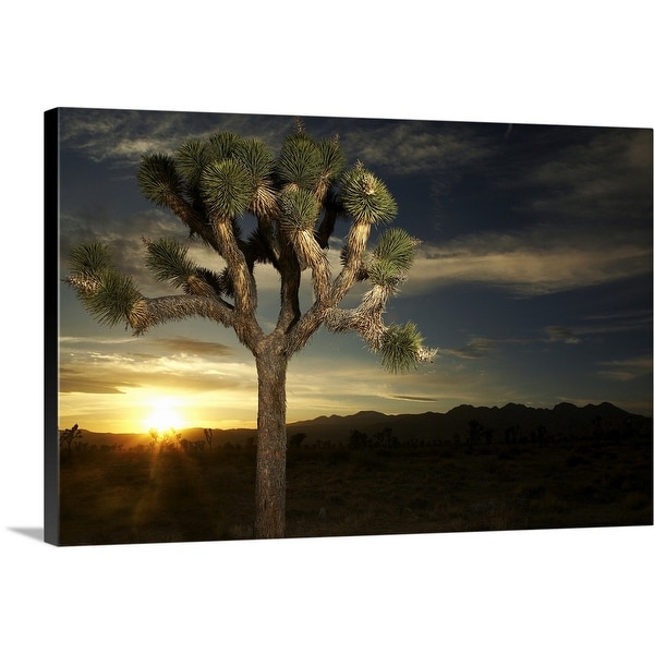"Joshua Tree at Sunset" Canvas Wall Art