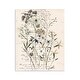 preview thumbnail 1 of 5, Stupell Vintage Pressed Flowers Wall Plaque Art Design By Carol Robinson 11 x 14