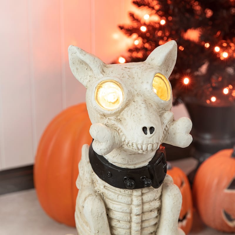 20"H Halloween Pre-lit Resin Skeleton Dog with Timer Indoor Porch Decor by Glitzhome