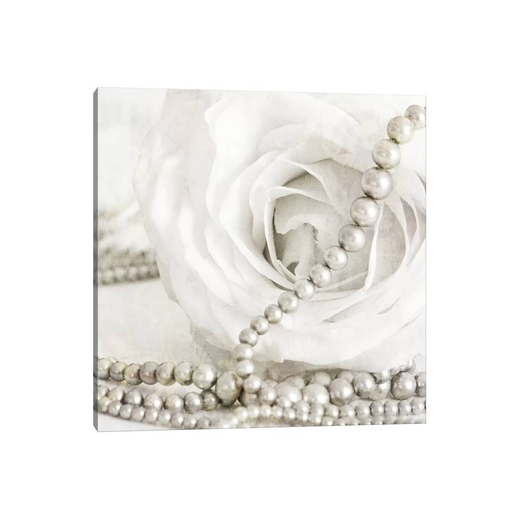 iCanvas "White Rose With Pearls" by Tom Quartermaine Canvas Print