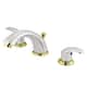 Option Polished Chrome/Polished Brass