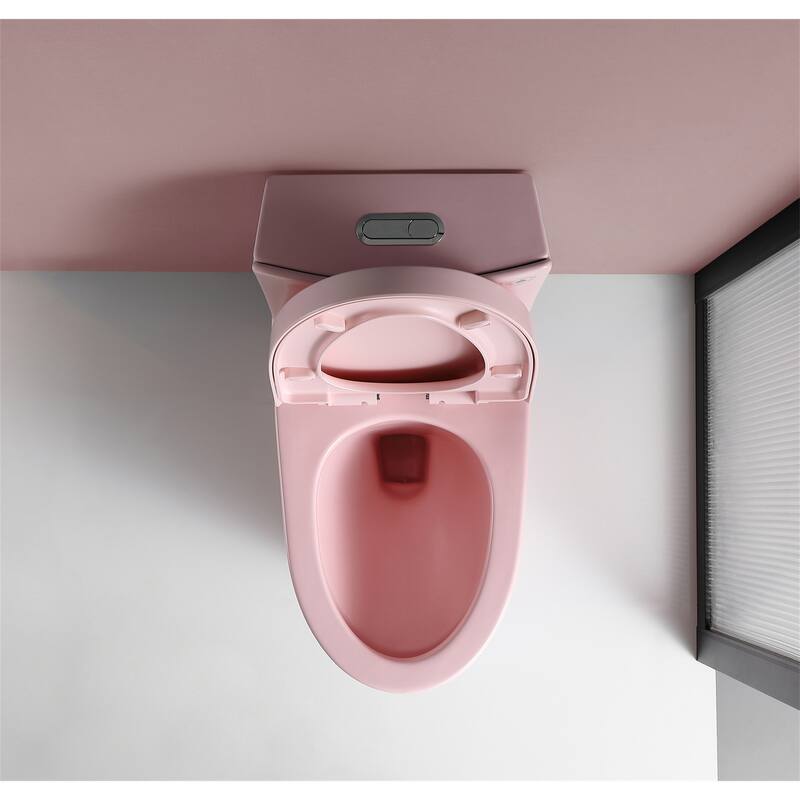 One Piece Dual-Flush Toilet