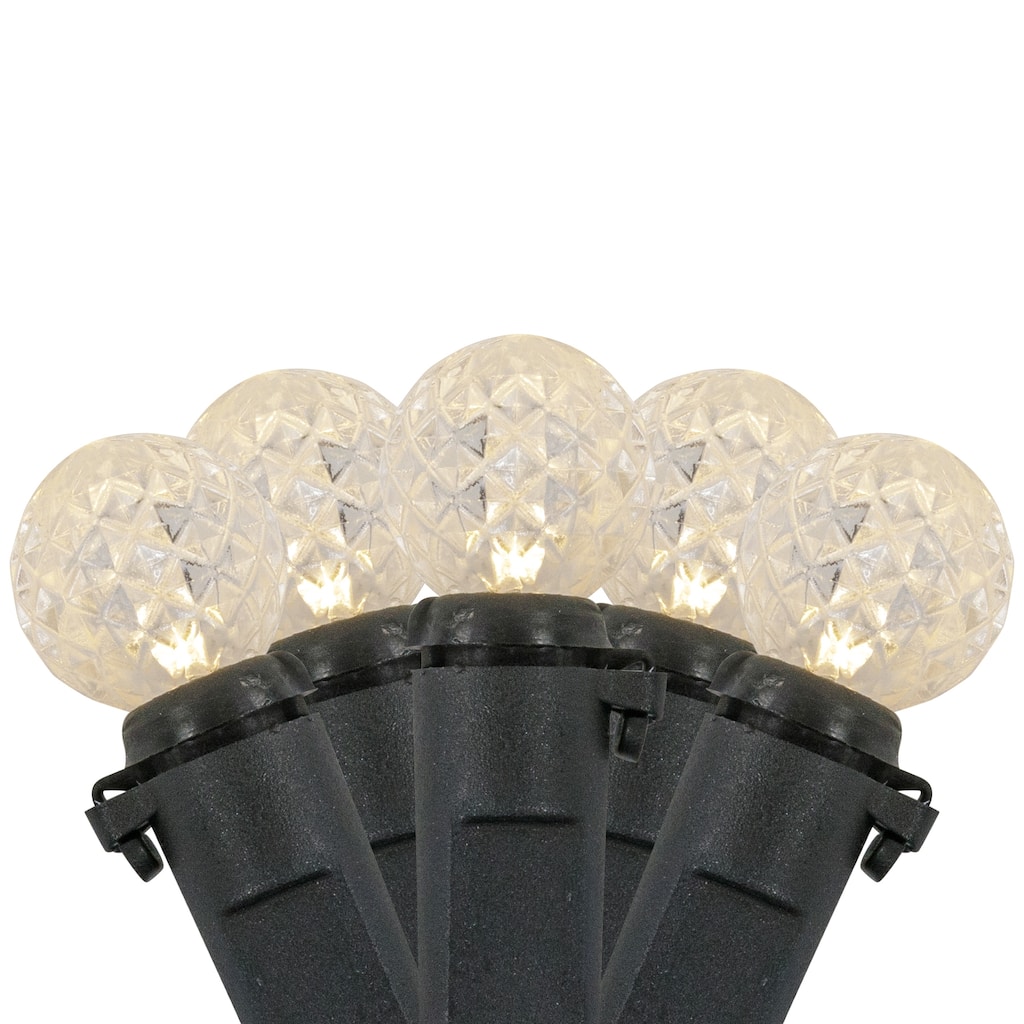 LED G12 Berry Christmas Lights - Warm White - 16' Black Wire - 50ct