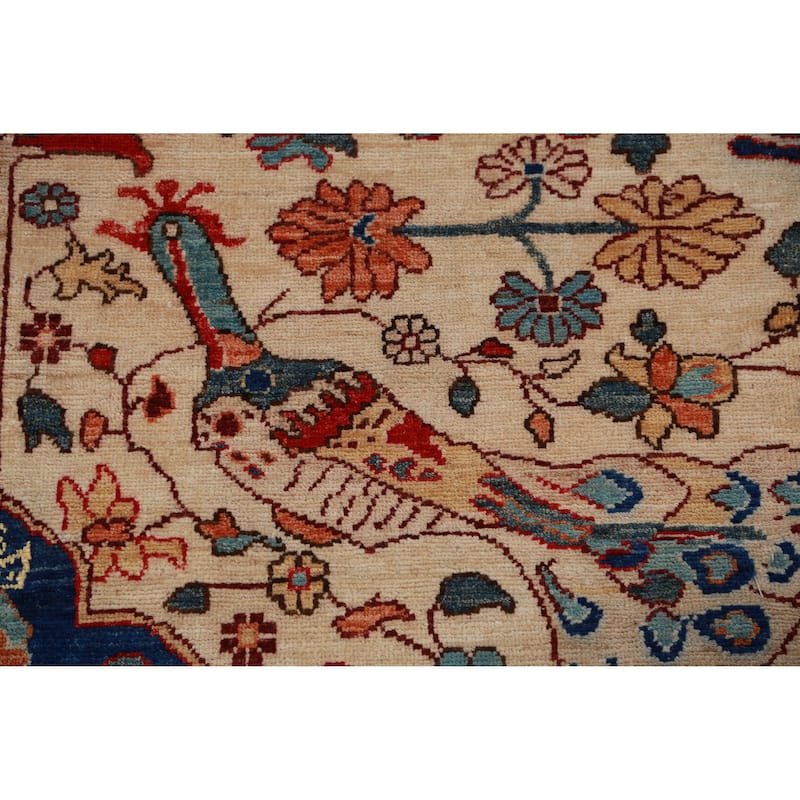 Vegetable Dye Ziegler Oriental Rug Hand-Knotted Wool Carpet - 8'11"x 11'9"