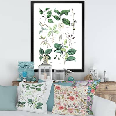Designart "Vintage Botanicals VIII" Traditional Framed Art Print