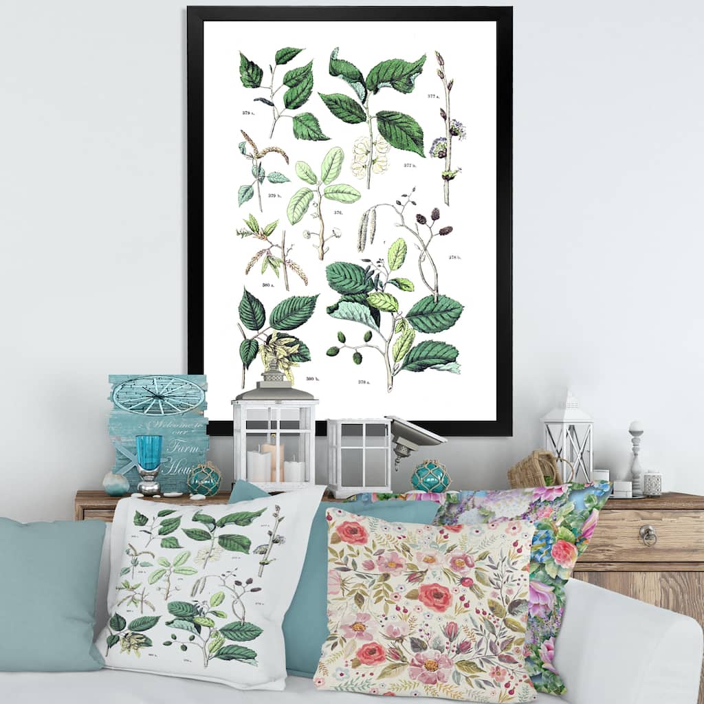 Designart "Vintage Botanicals VIII" Traditional Framed Art Print