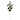 Elements Artificial Gingko Branch, 25 Inch - N/A