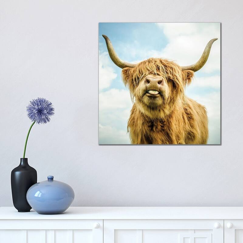 iCanvas "Highland Cow" by Mark Gemmell Canvas Print - 18x18x1.5