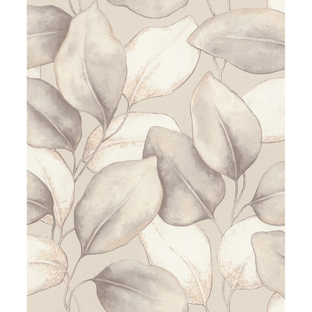 A-Street Prints Evanthe Grey Vine Wallpaper