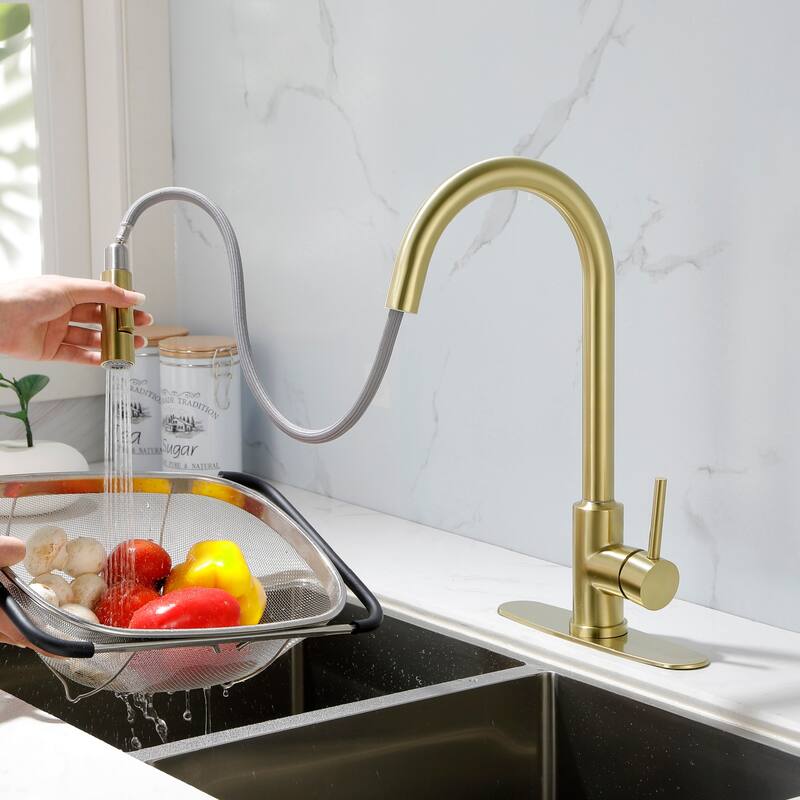 2-Function 1-Handle Pulldown Kitchen Faucet