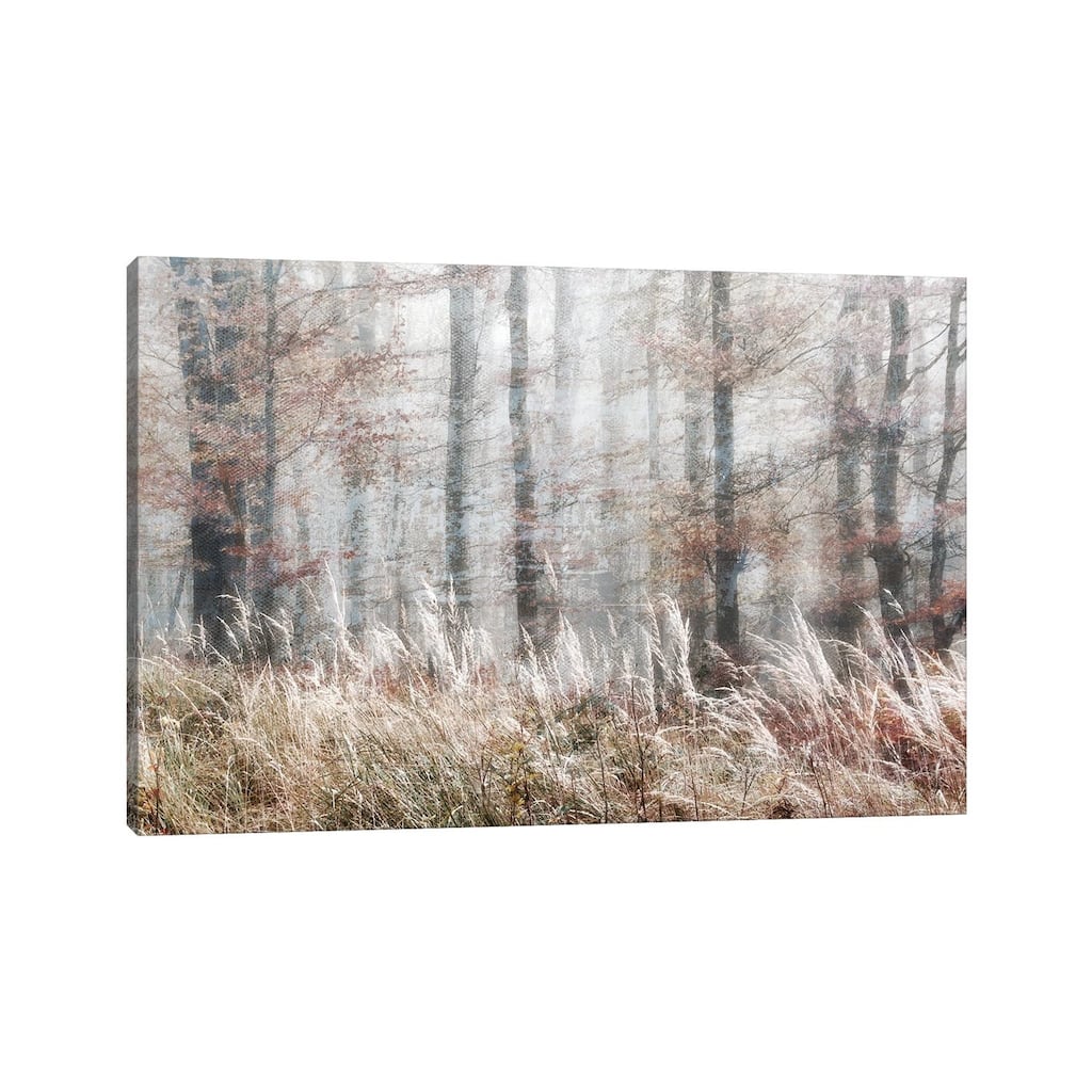 iCanvas "Always Magic In The Woods" by Irene Weisz Canvas Print