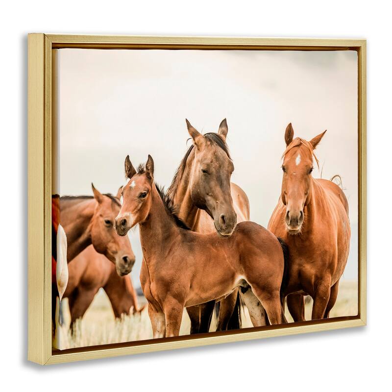 Stupell Horse & Foals Photography Framed Floater Canvas Wall Art Design by Krista Broadway