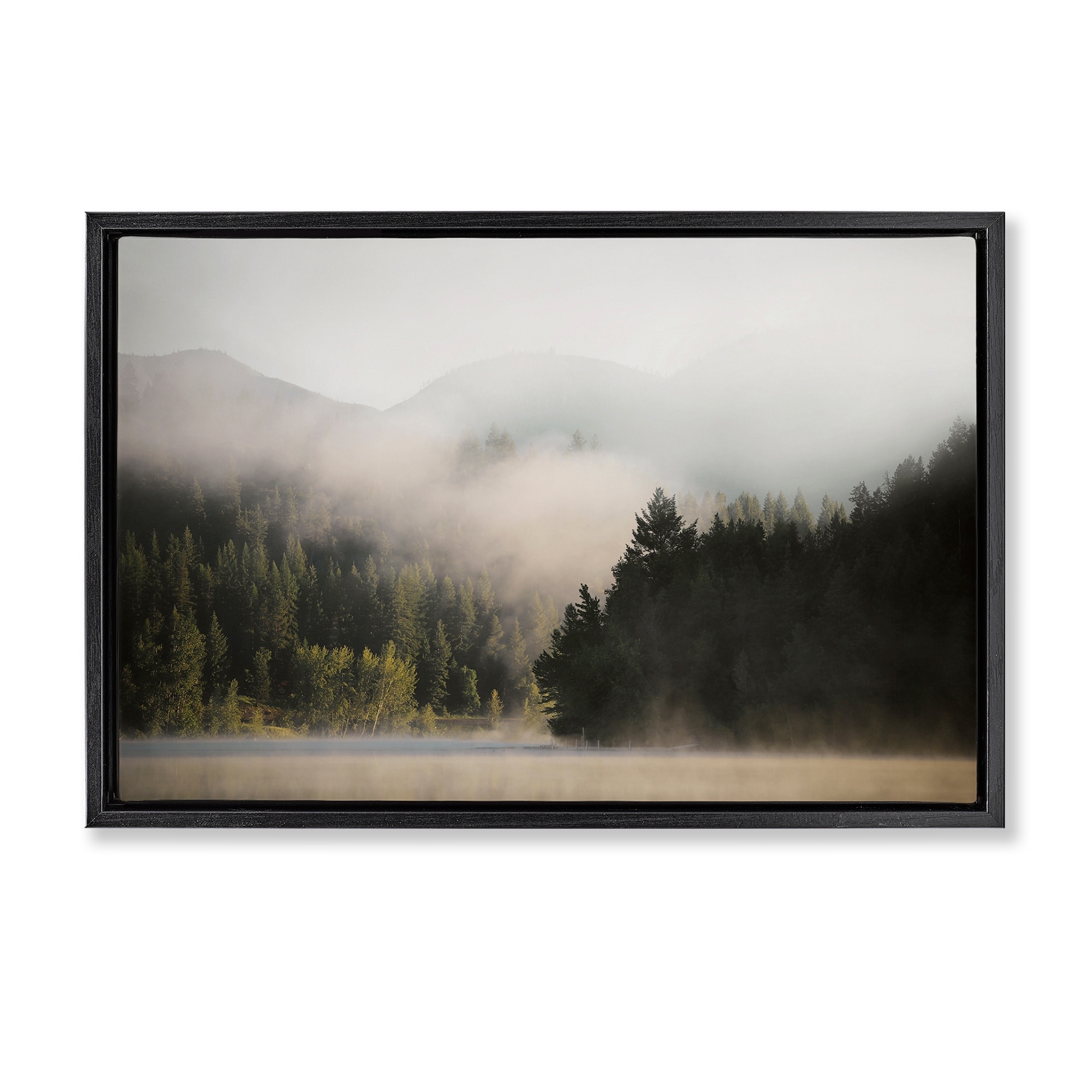 Stupell Rolling Fog Woodland View Framed Floater Canvas Wall Art Design By Carol Robinson