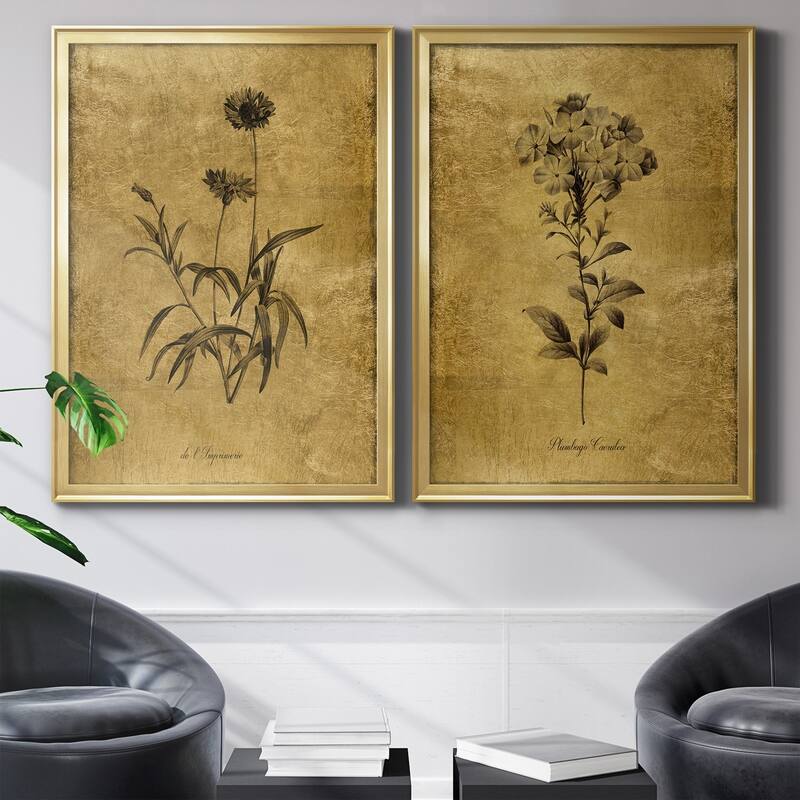 Gold Sketch Botanical I Premium Framed Print - Ready to Hang - Multi-Color