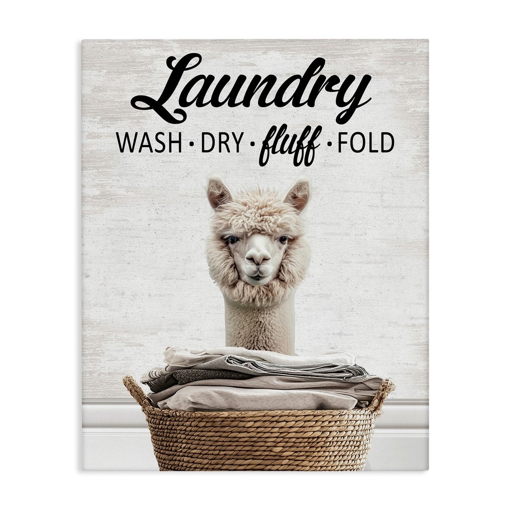 Stupell Wash Dry Fluff Laundry Canvas Wall Art Design By Lettered and Lined