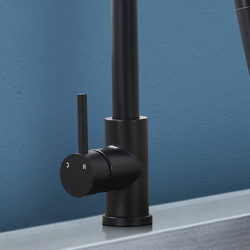 Topcraft Single Handle Stainless Steel Bar Faucet with Sprayer