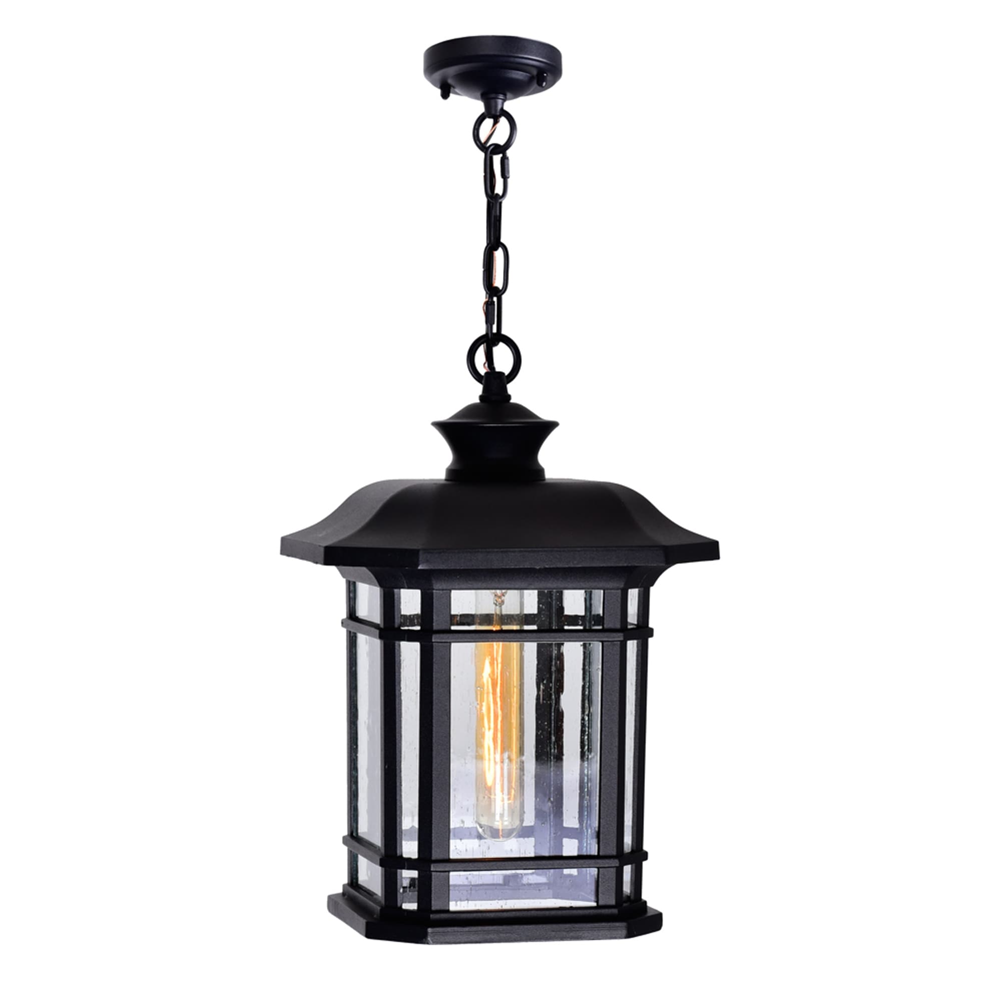 CWI Lighting Blackburn 1 Light Black Outdoor Pendant