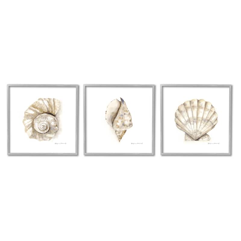Stupell Soft White Patterned Seashells Nautical Natural Neutrals 3pc Multi Piece Framed Wall Art Set - 12 x 12 - Grey