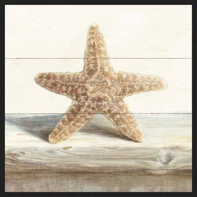 Driftwood Shell III Framed Poster