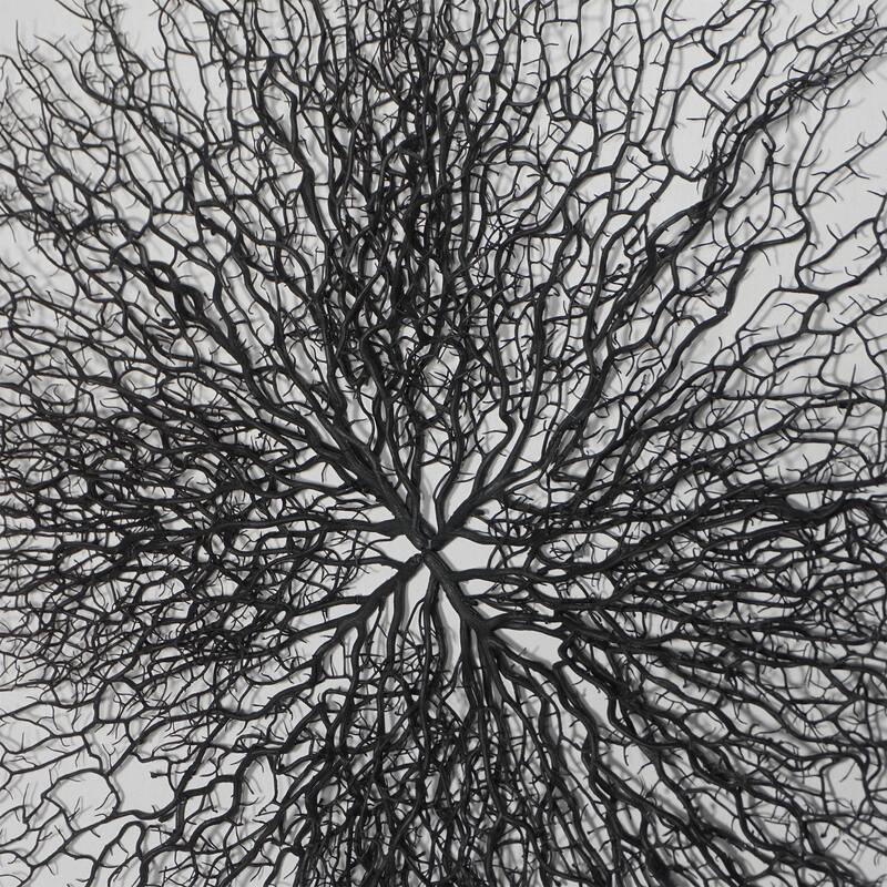 HUJI Roots On Linen Wall Art Decorative Accent