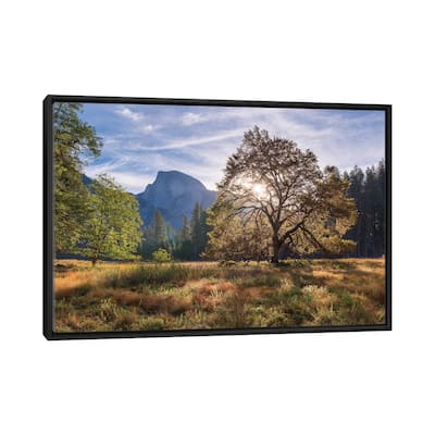 iCanvas "Cook's Meadow" by Adam Burton Framed Canvas Print