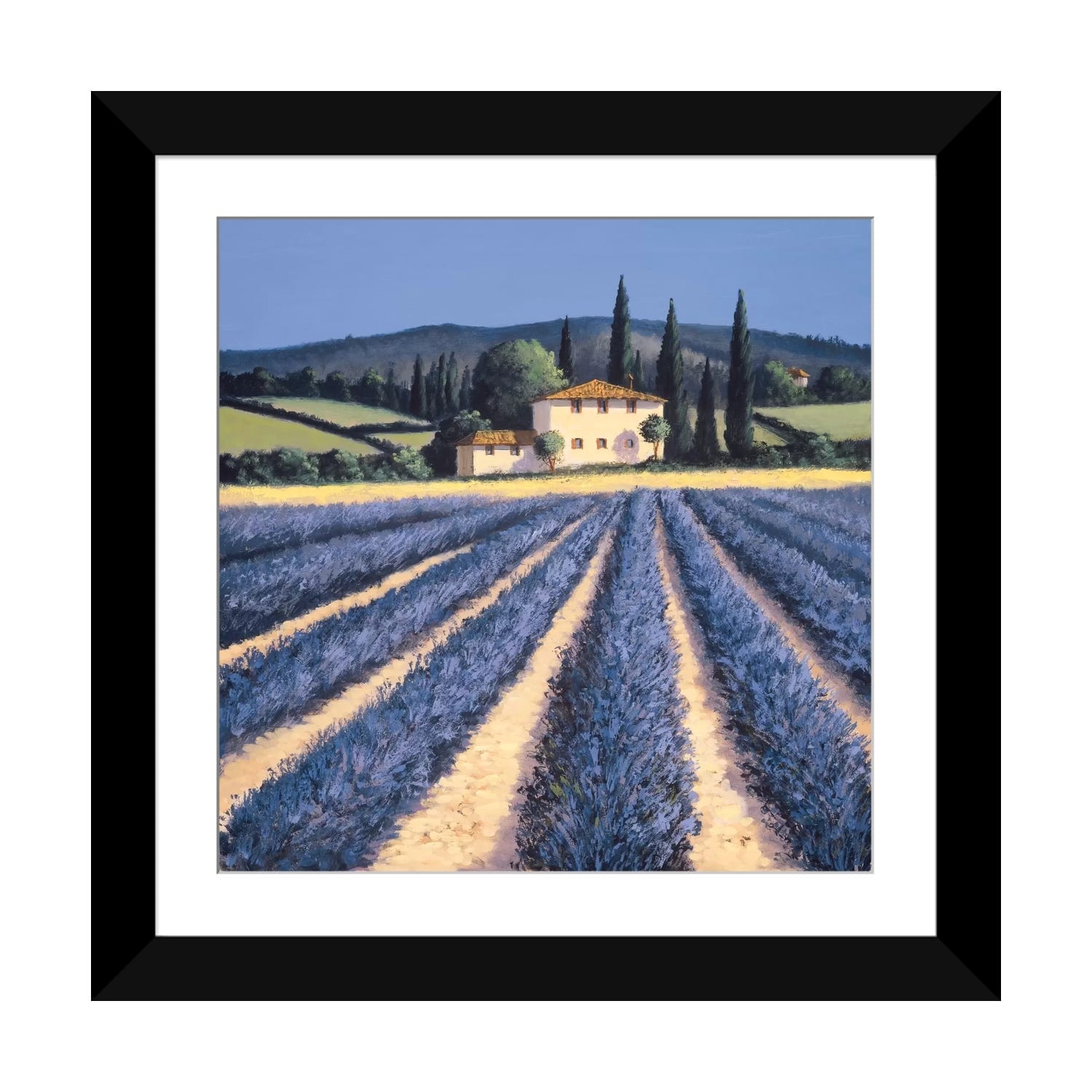 iCanvas "Colors Of Summer" by David Short