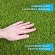 preview thumbnail 13 of 13, Superior Artificial Grass Synthetic Lawn Turf Indoor Outdoor Area Rug