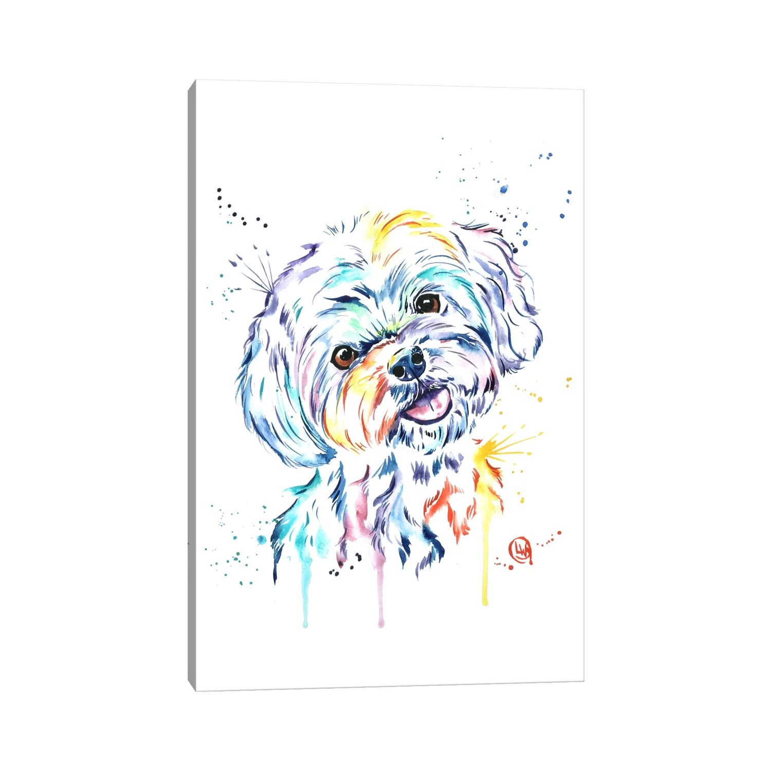 White clearance house havanese