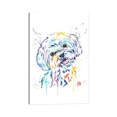 iCanvas "Havanese" by Lisa Whitehouse Canvas Print