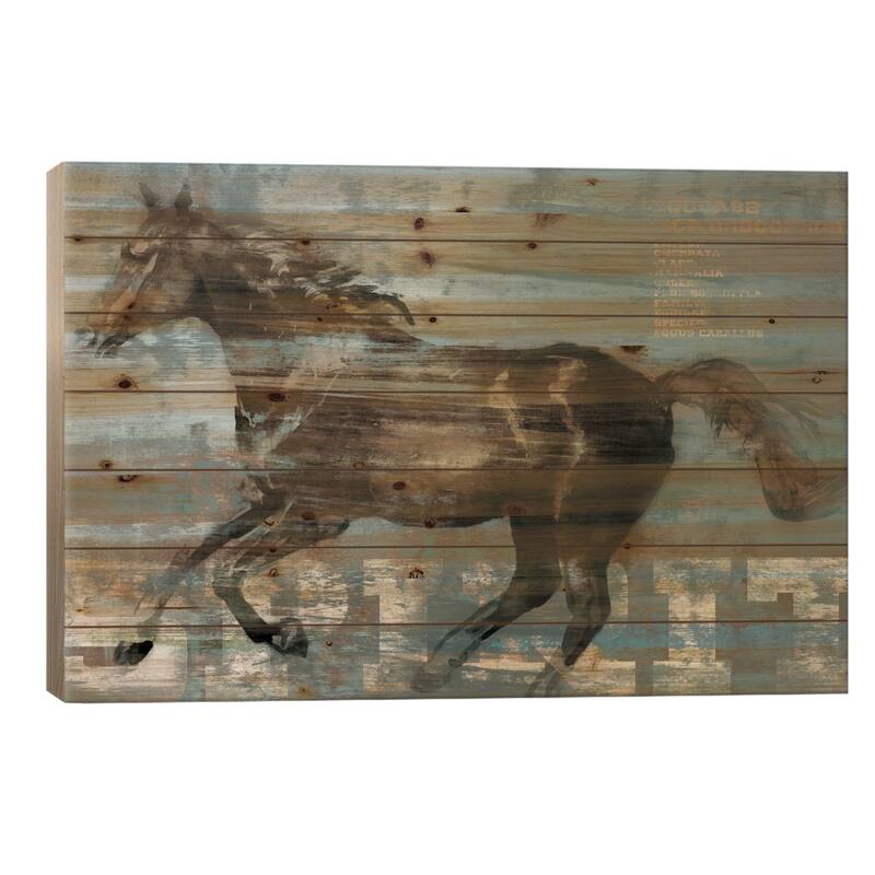Spirit Print On Wood by Edward Selkirk - Multi-Color - 26x40x1.5