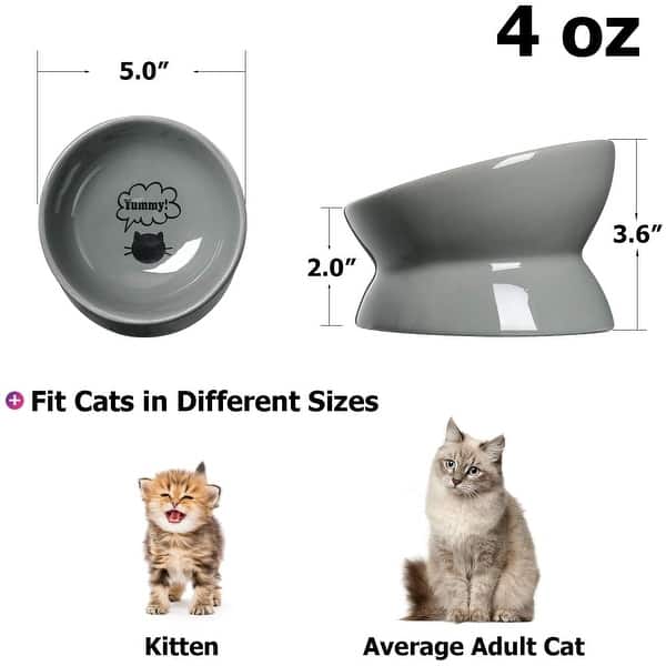 are raised pet food bowls good for cats Elevated Tilted Ceramic Food Bowl Seafoam