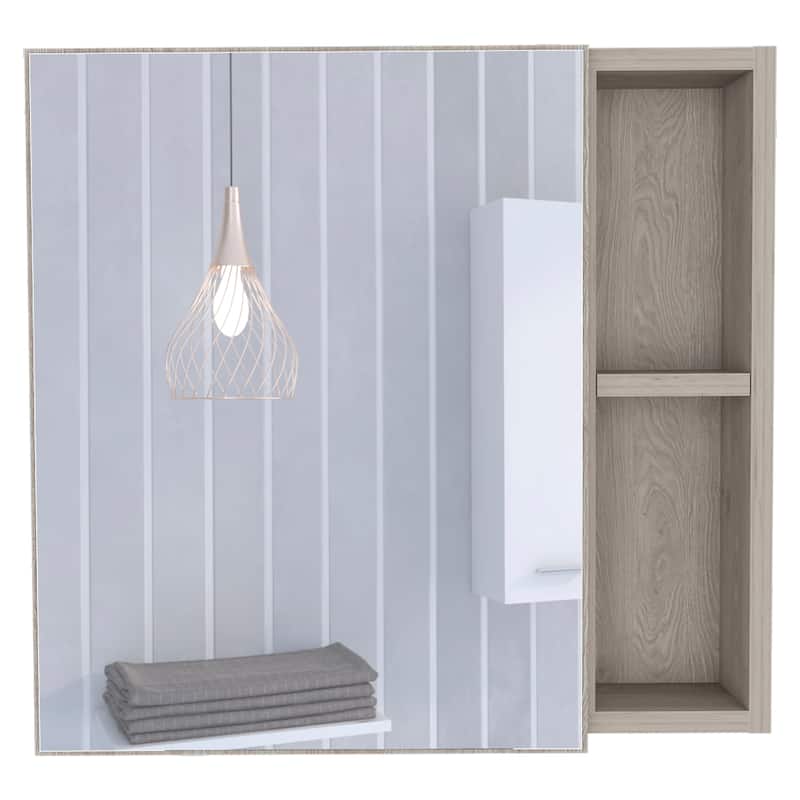 Myrick 2-Shelf Medicine Cabinet with Mirror