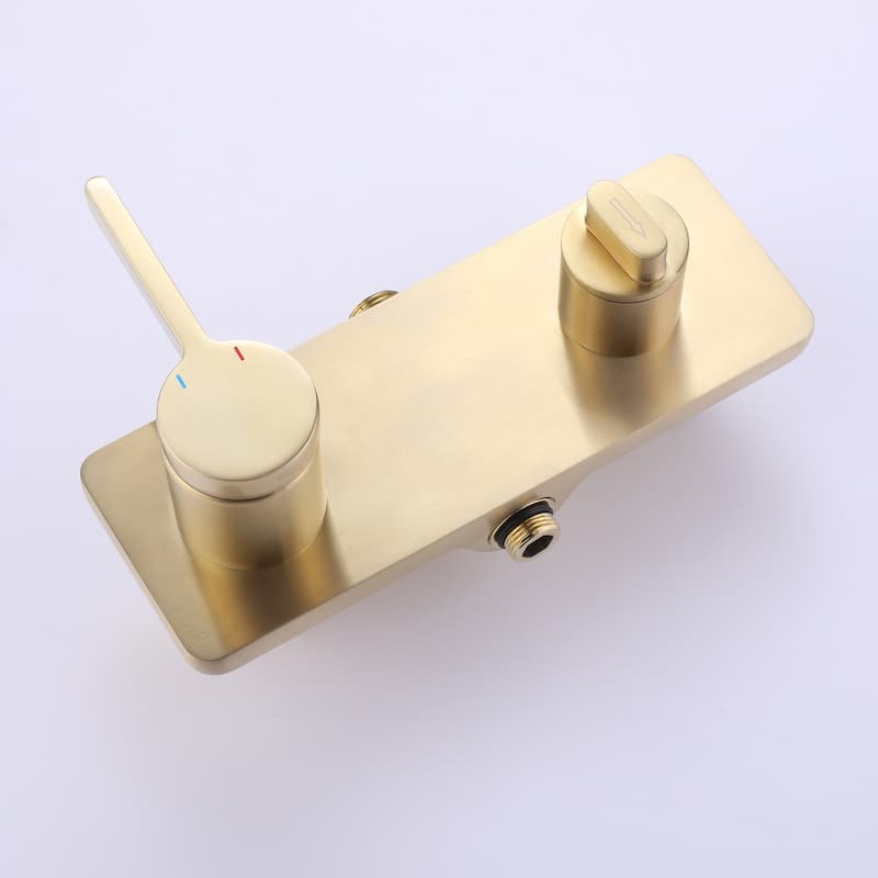 Luxury 10'' Wall Mounted Shower Head Rainfall with Handheld Spray in Brushed Gold