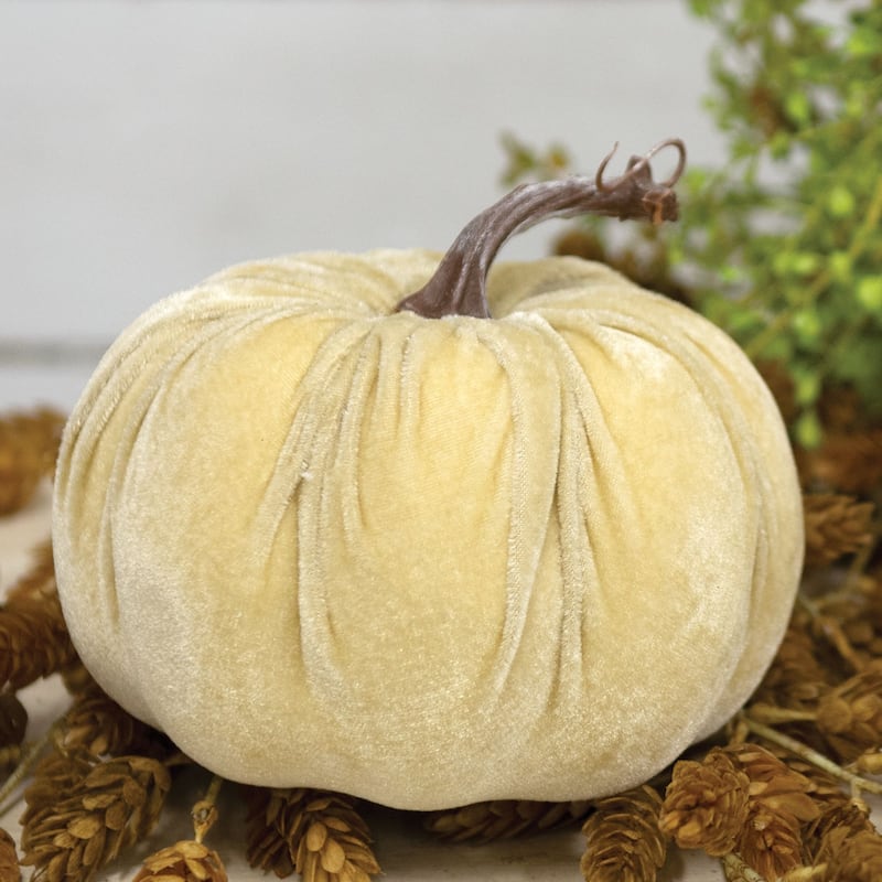 Cream Velvet Pumpkin 6.5"