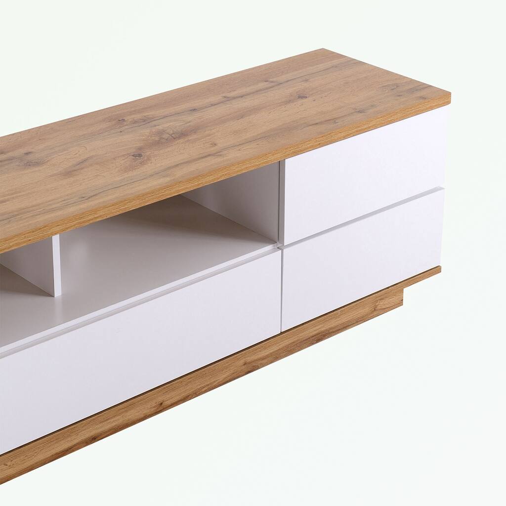 Modern TV stand with Multi-Functional Storage and Door