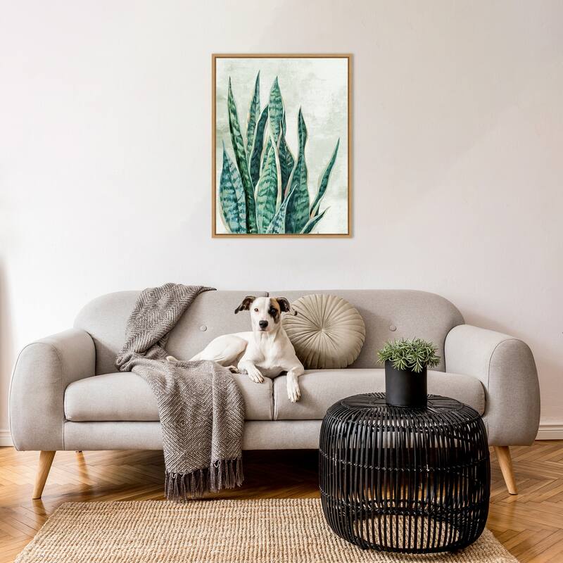 Amanti Art Reaching Snake Plant by PI Studio Framed Canvas Wall Art Print - Sylvie Maple