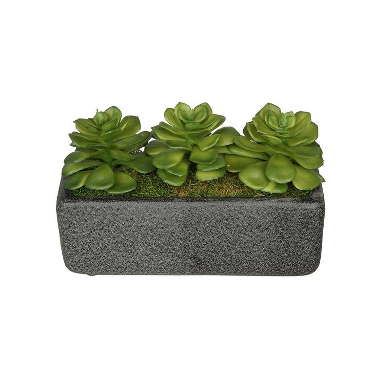 Faux Echeverias in Black Sandy-Texture Cermaic Vase
