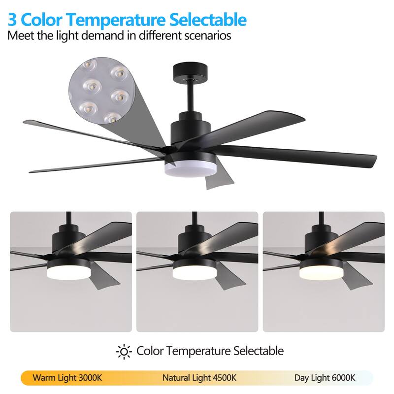 65 Inch Ceiling Fan with Light, 5-Blade Dimmable LED Ceiling Fan with Remote Control, Modern Quiet Design - Black