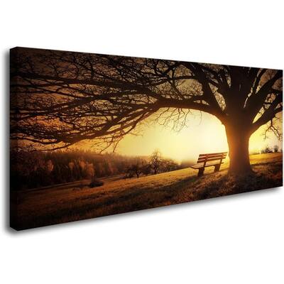 Trees in Sunset 1 Panel Golden Sunset Forest Natural Landscape