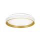 Option White