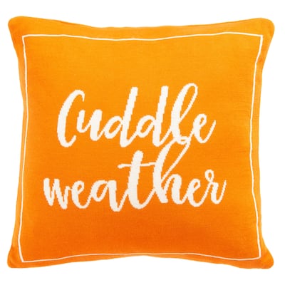 SAFAVIEH Cuddle Weather 18-inch Square Decorative Accent Throw Pillow