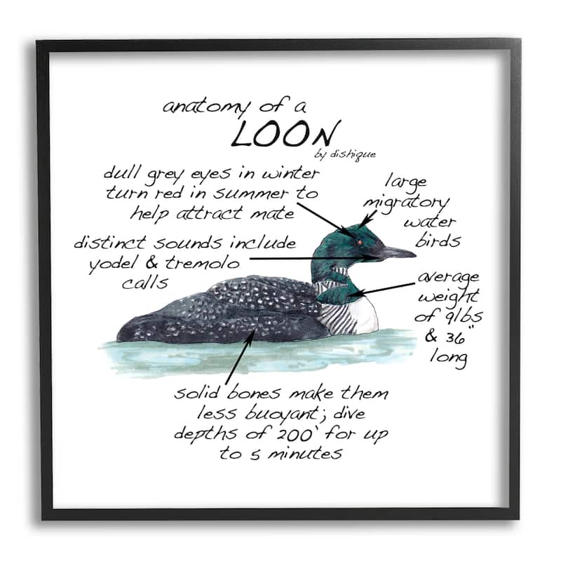 Stupell Loon Water Bird Anatomy Chart Educational Wildlife Facts Framed Wall Art, Design by Dishique - Grey - 17 x 17 - Black