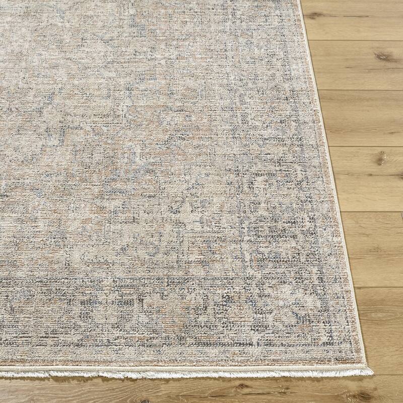 Galey Alix x Livabliss Maria Elena III Vintage Medallion Area Rug