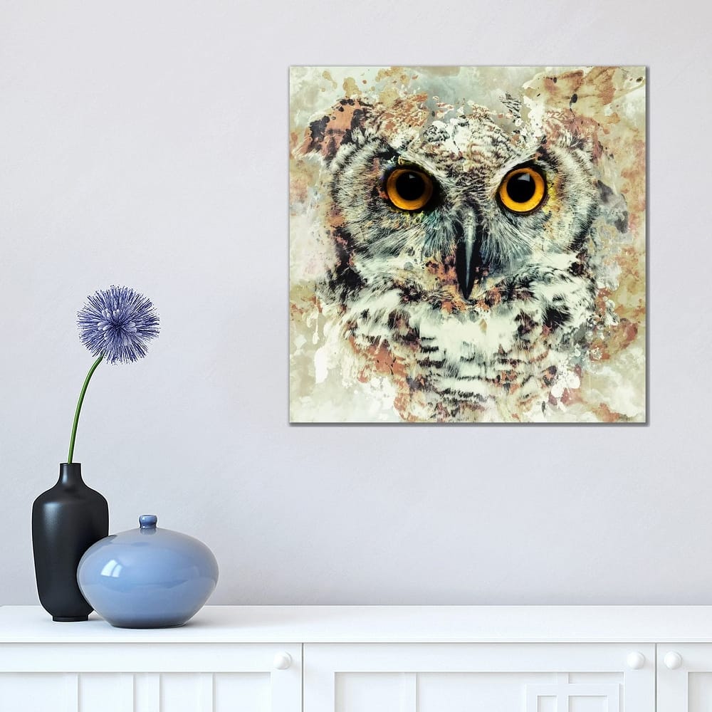 iCanvas "Owl II" by Riza Peker Canvas Print