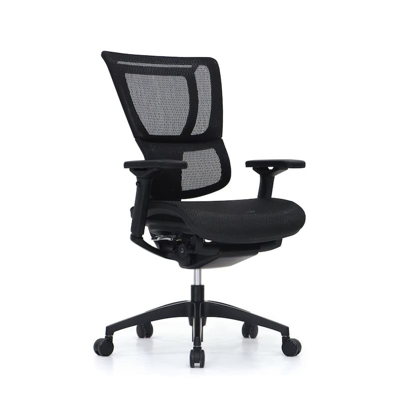 Eurotech Seating iOO Executive Chair w/ Dynamic Lumbar Support - Black