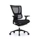 Option Black