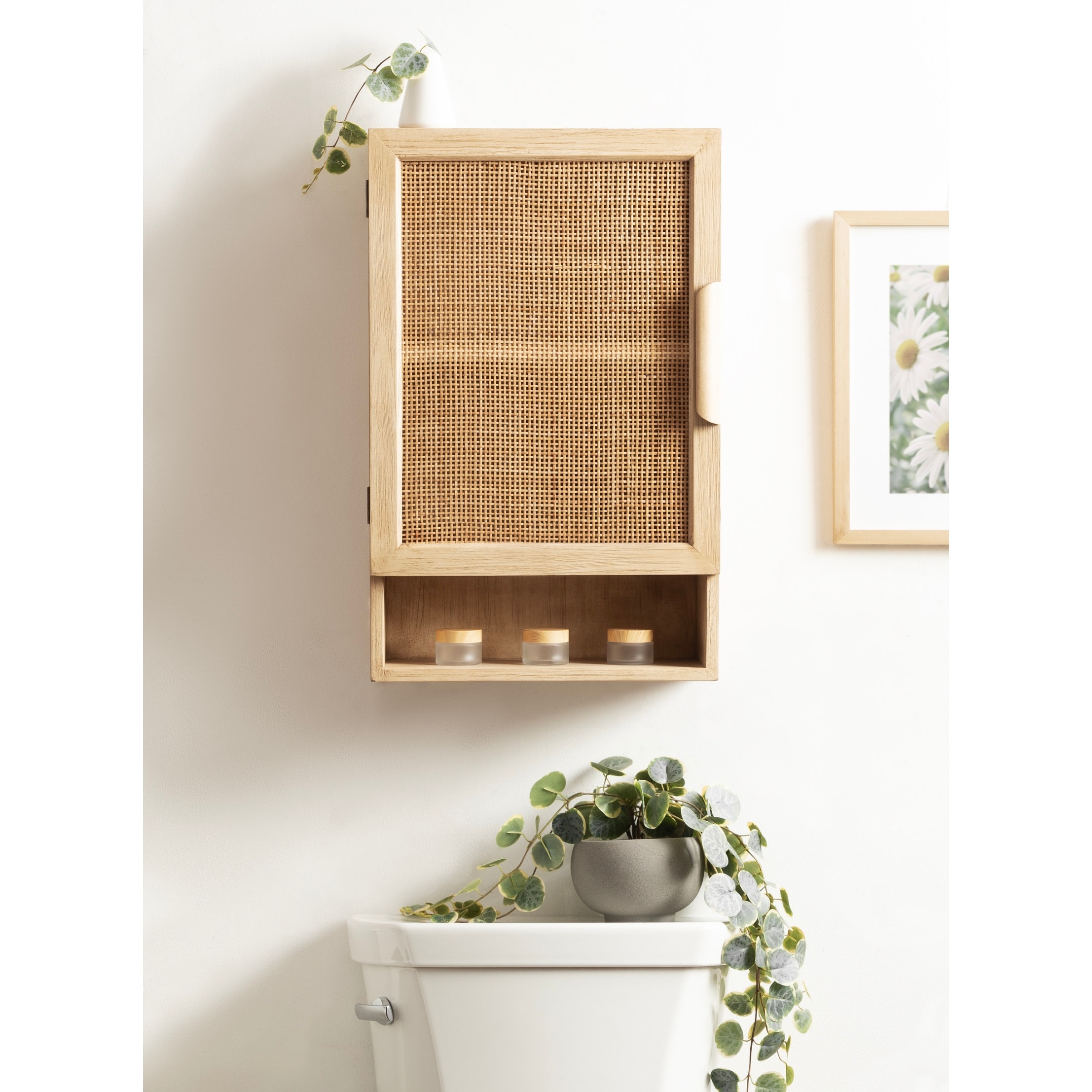 Kate and Laurel Ori Rattan Wall Cabinet with Cubby